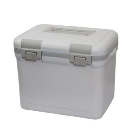 6 Liter PU- + pp.-Materialien schäumen kühlerer Kasten für Fische/Getränk-kaltes Magazin