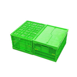 Kundengebundene grüne faltende Plastikkiste Mesh Body pp. + feste Unterseite