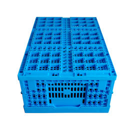 Frische Nahrung, die zusammenklappbare Plastikkisten 600*400*240 Millimeter Mesh Structure lädt