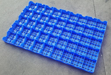Mesh Floor Plastic Export Pallets, der einfache hohe ReinigungsBelastbarkeit anschließt