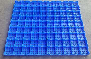 Mesh Floor Plastic Export Pallets, der einfache hohe ReinigungsBelastbarkeit anschließt