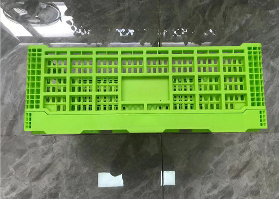 Grüner Umsatz-faltbare Plastikkisten mit Mesh Base Light Weight