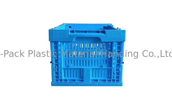 Kleine 400*300mm blaue Obst- und GemüsePlastikkisten