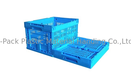 Kleine 400*300mm blaue Obst- und GemüsePlastikkisten