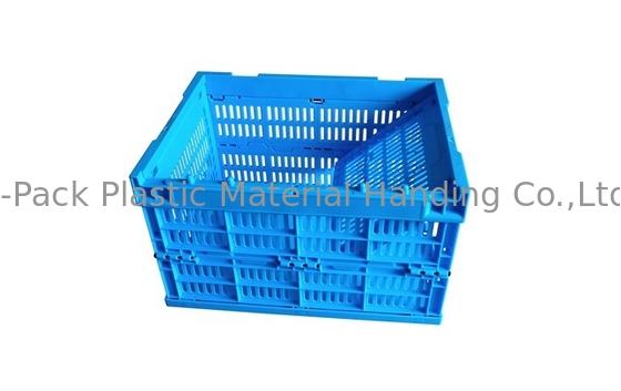 Kleine 400*300mm blaue Obst- und GemüsePlastikkisten