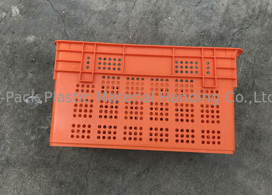 Gelüftete nistbare stapelnde Plastikkisten für Höhe Frucht-Mesh Structures 120mm